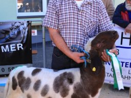 2019_ausstellung polling_779